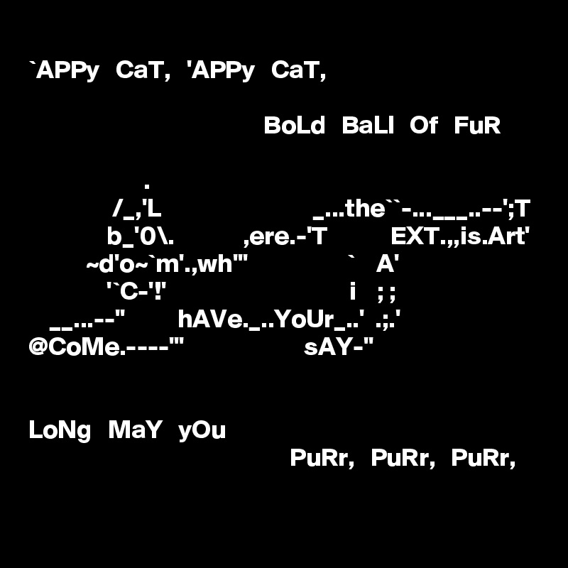 Appy Cat Appy Cat Bold Ball Of Fur L The T