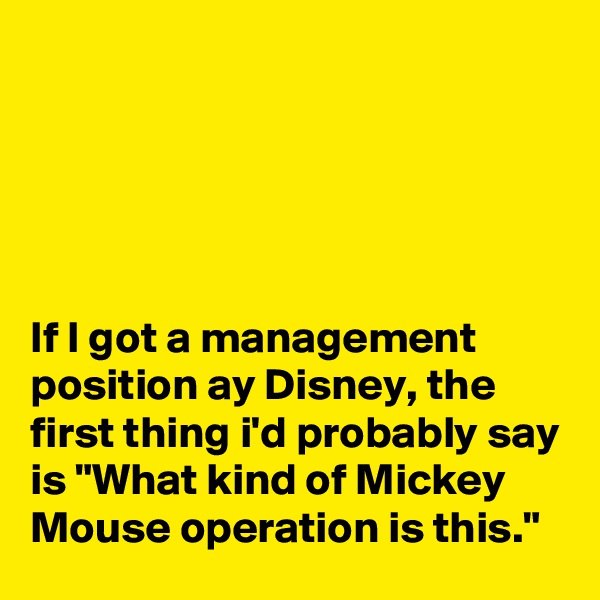 





If I got a management position ay Disney, the first thing i'd probably say is "What kind of Mickey Mouse operation is this."