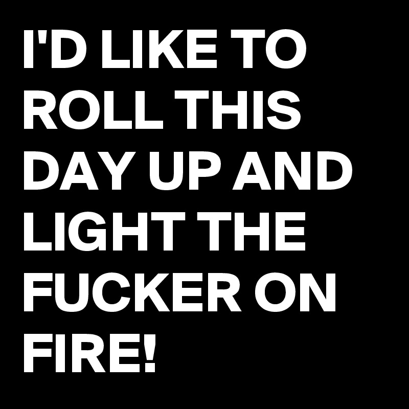 I'D LIKE TO ROLL THIS DAY UP AND LIGHT THE FUCKER ON FIRE!