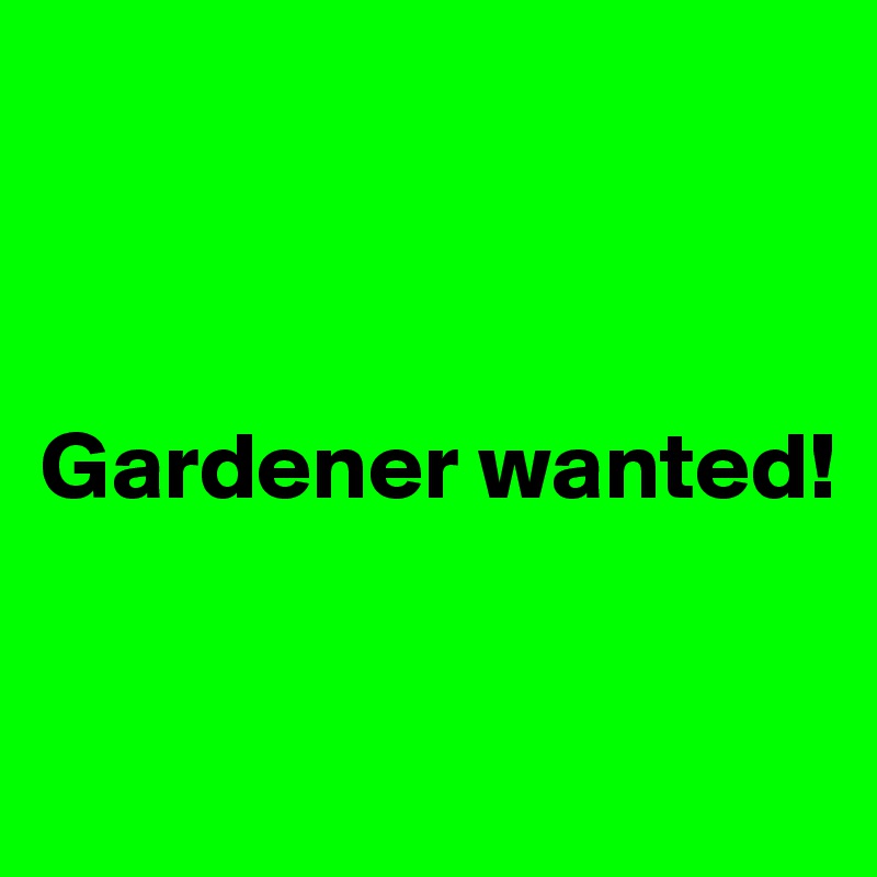 



Gardener wanted!


