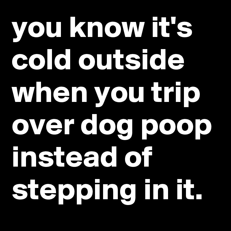 you know it's cold outside when you trip over dog poop instead of stepping in it.