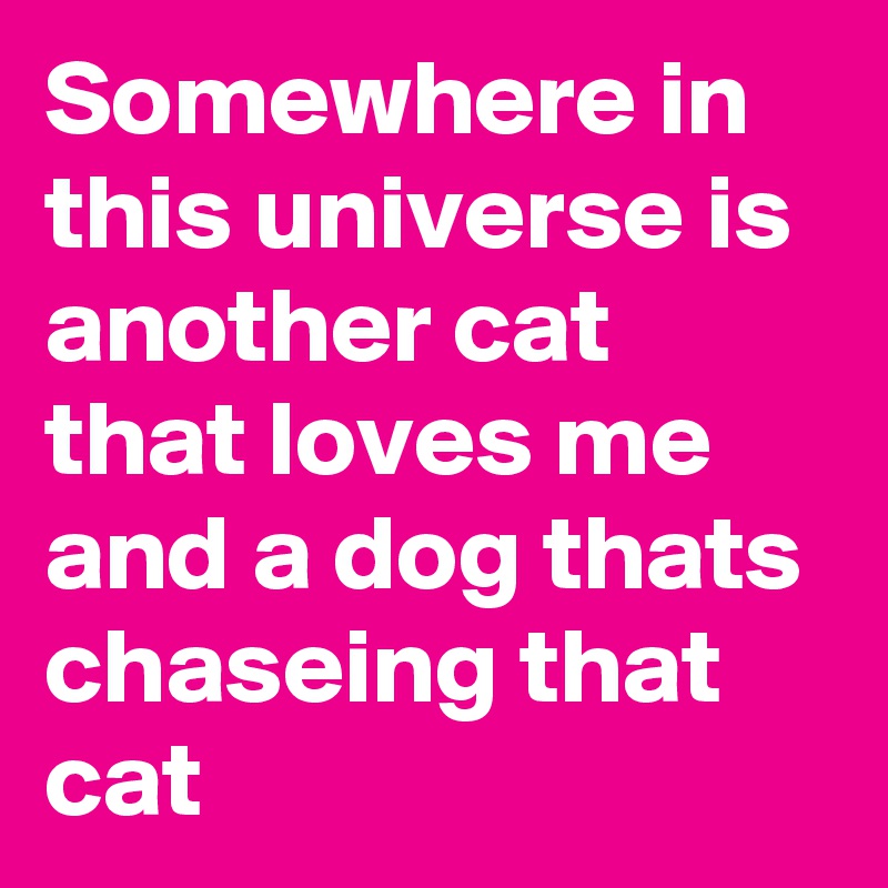 Somewhere in this universe is another cat that loves me
and a dog thats chaseing that cat  