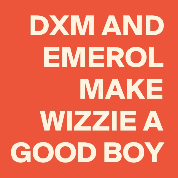 DXM AND
EMEROL MAKE WIZZIE A GOOD BOY