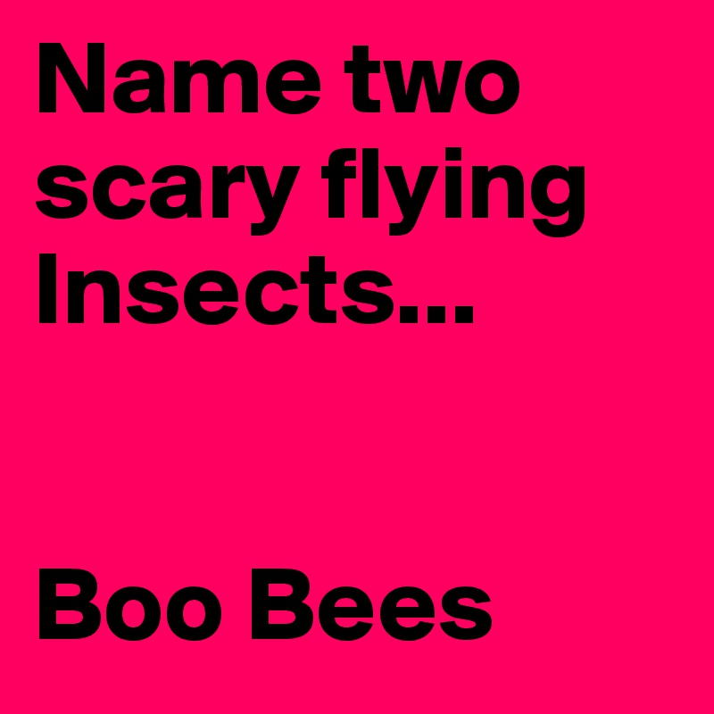 Name two scary flying Insects...


Boo Bees