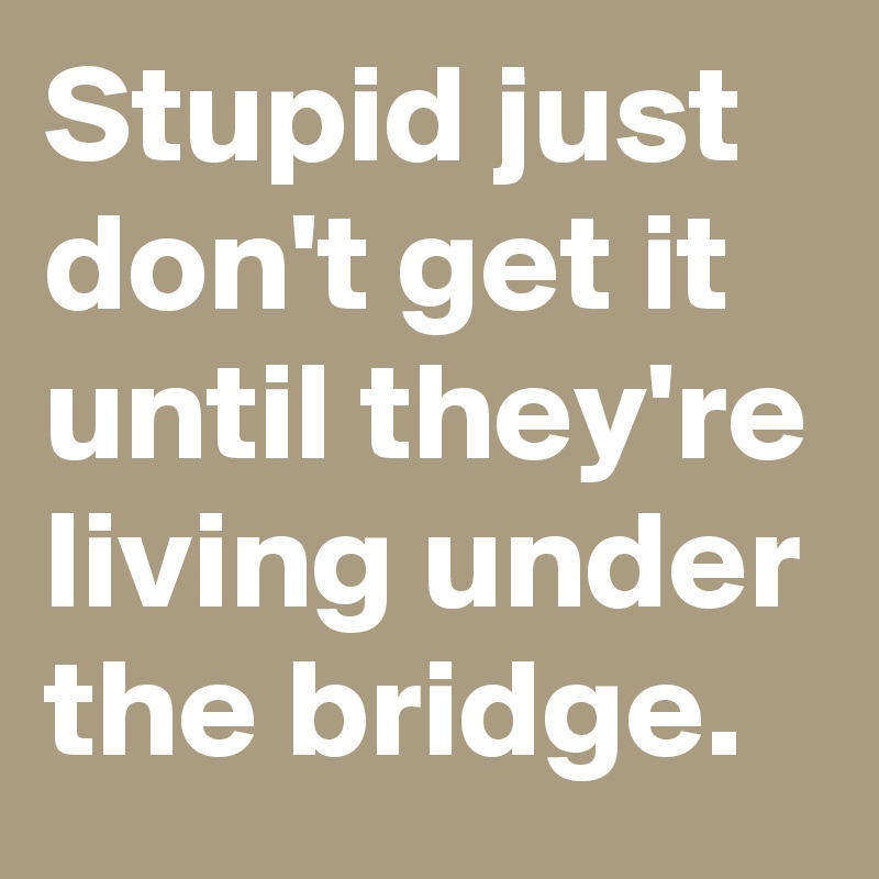 Stupid just don't get it until they're living under the bridge.