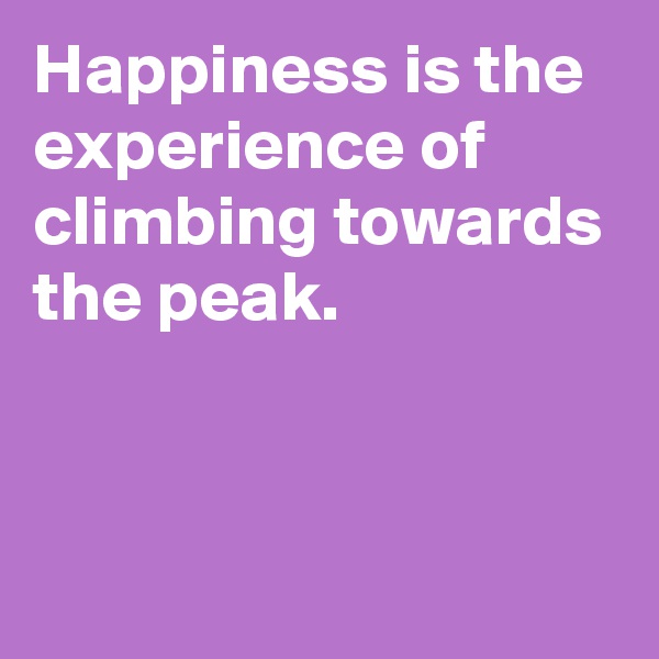 Happiness is the experience of climbing towards the peak.


