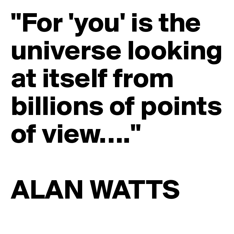 "For 'you' is the universe looking at itself from billions of points of view…."

ALAN WATTS