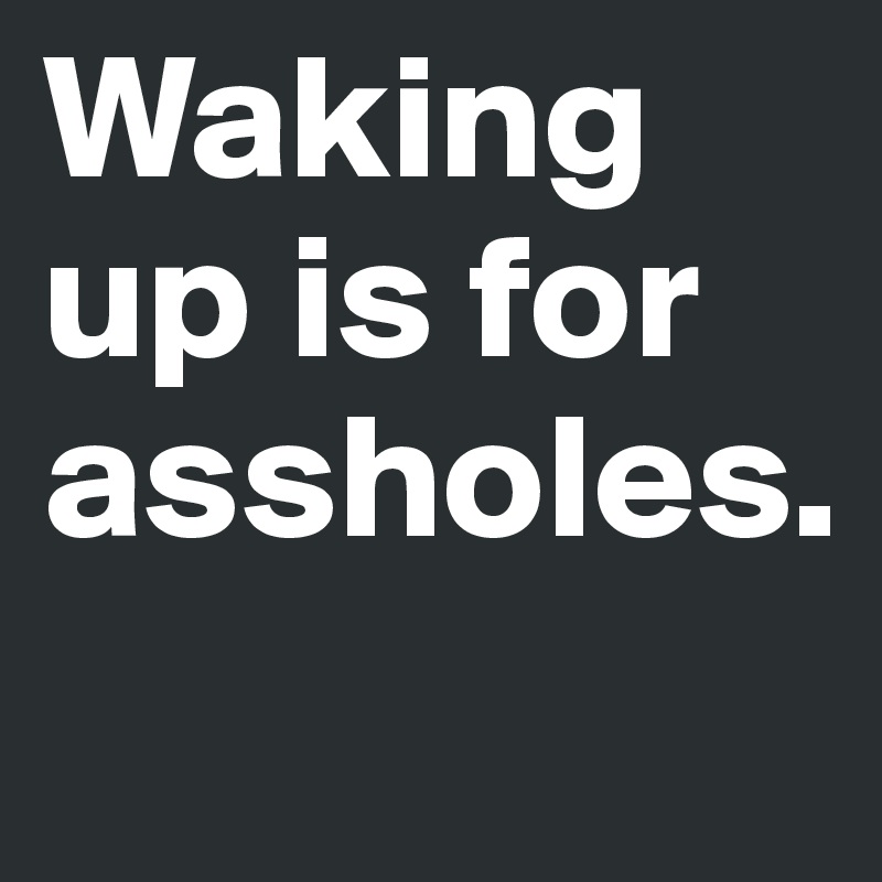 Waking up is for assholes.
