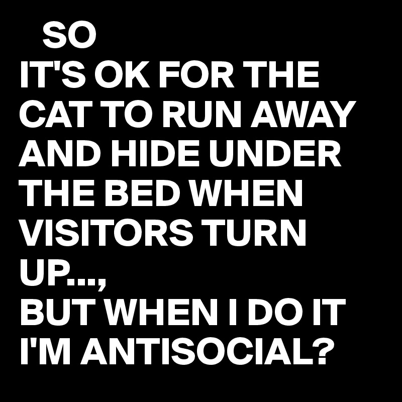   SO
IT'S OK FOR THE CAT TO RUN AWAY AND HIDE UNDER THE BED WHEN VISITORS TURN UP...,
BUT WHEN I DO IT I'M ANTISOCIAL?