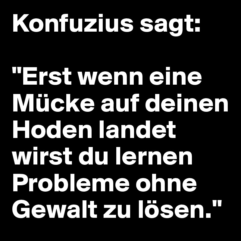 Konfuzius sagt &quot;Erst wenn eine Mücke auf deinen Hoden landet wirst du lernen Probleme ohne