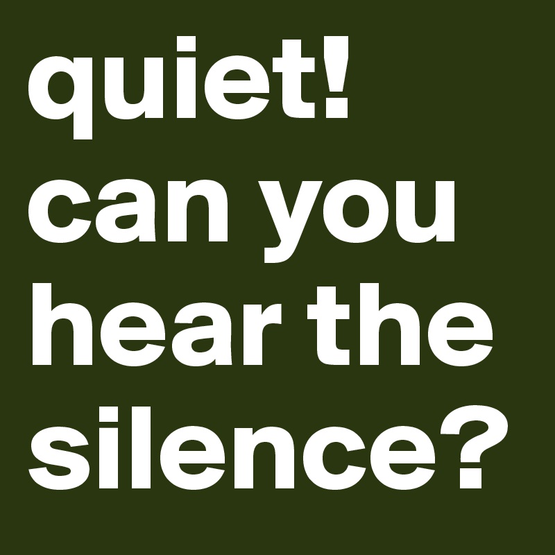 quiet! can you hear the silence?