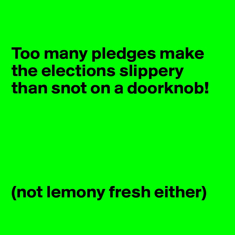 

Too many pledges make the elections slippery than snot on a doorknob!





(not lemony fresh either)
