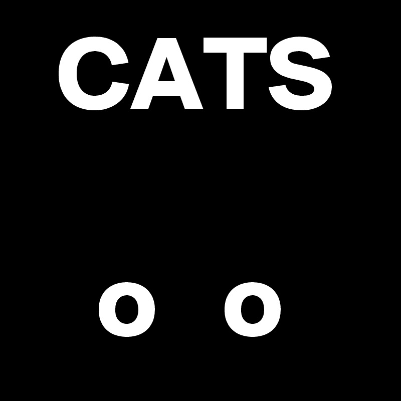 CATS

o   o