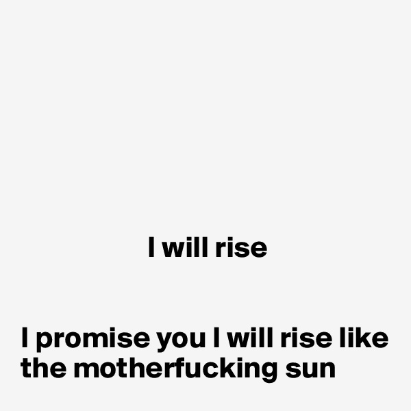 






                     I will rise 


I promise you I will rise like the motherfucking sun
