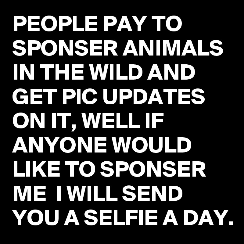 PEOPLE PAY TO SPONSER ANIMALS IN THE WILD AND GET PIC UPDATES ON IT, WELL IF ANYONE WOULD LIKE TO SPONSER ME  I WILL SEND YOU A SELFIE A DAY.