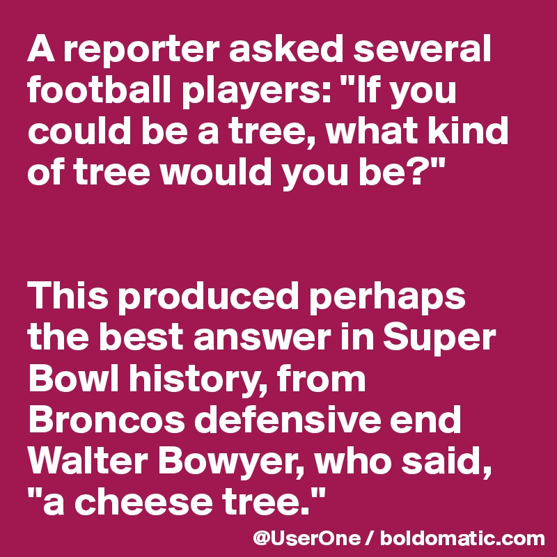 What is a cheese tree?