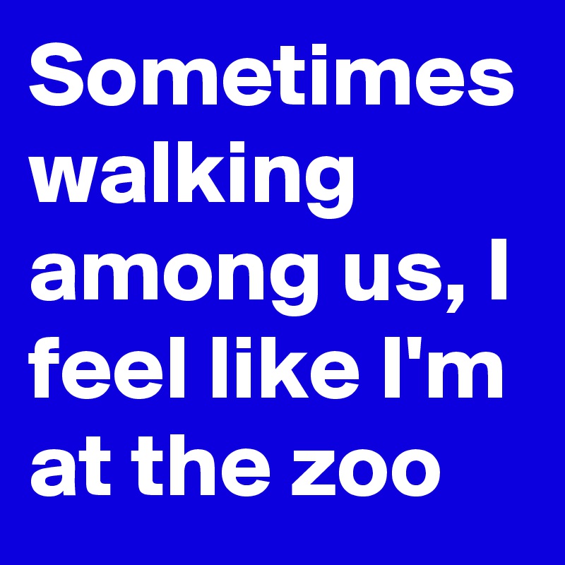 Sometimes walking among us, I feel like I'm at the zoo