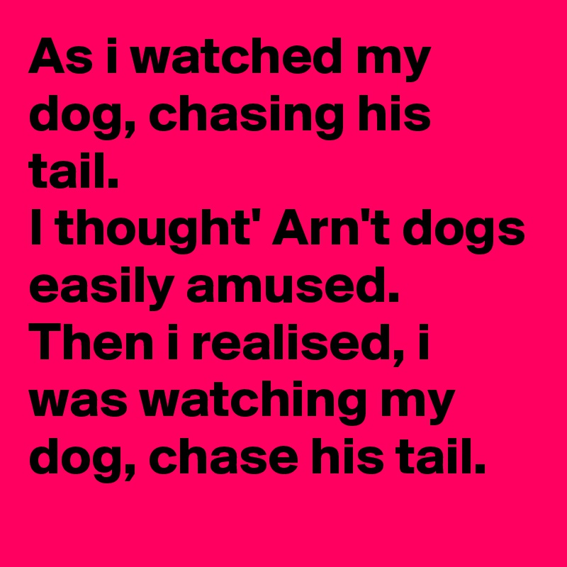 As i watched my dog, chasing his tail.
I thought' Arn't dogs easily amused.
Then i realised, i was watching my dog, chase his tail.