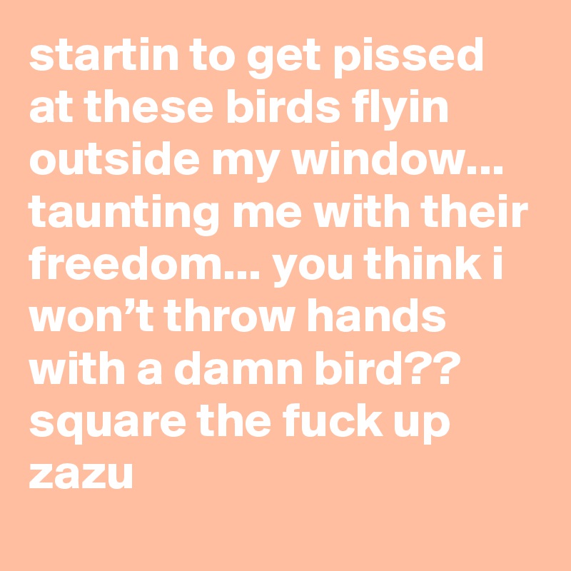 startin to get pissed at these birds flyin outside my window... taunting me with their freedom... you think i won’t throw hands with a damn bird?? square the fuck up zazu