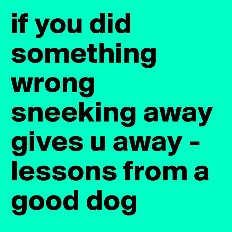 if you did something wrong sneeking away gives u away - lessons from a good dog