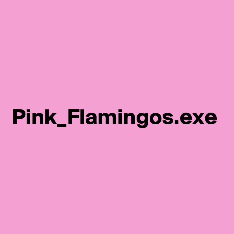 



Pink_Flamingos.exe