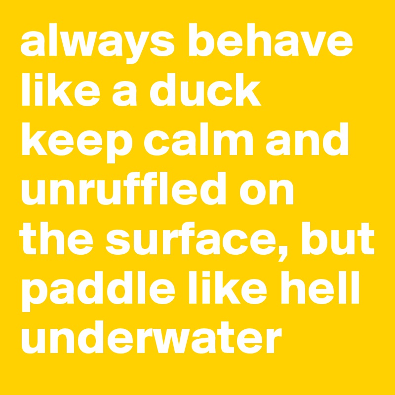 always behave like a duck keep calm and unruffled on the surface, but paddle like hell underwater