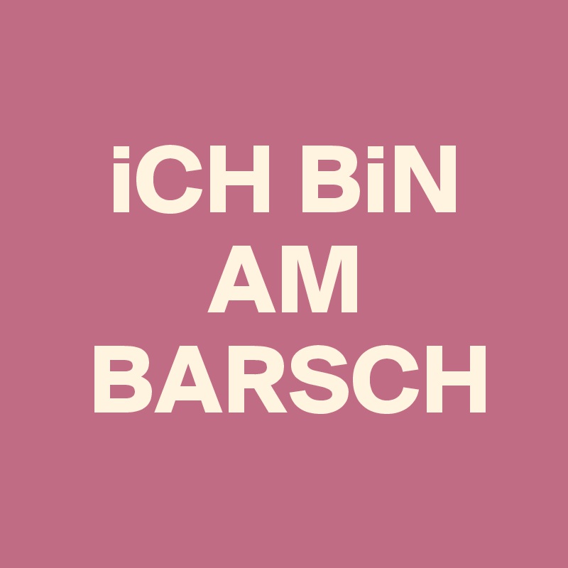 
    iCH BiN  
         AM  
   BARSCH
