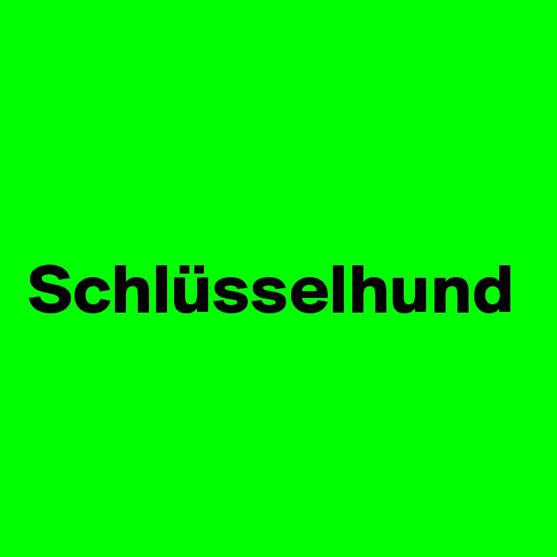 


Schlüsselhund