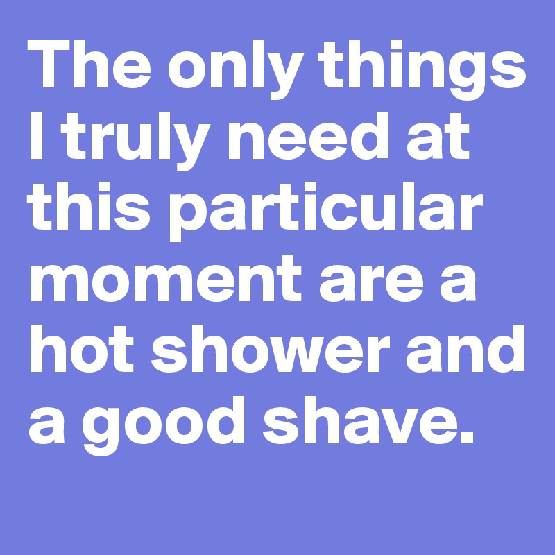 The only things I truly need at this particular moment are a hot shower and a good shave.
