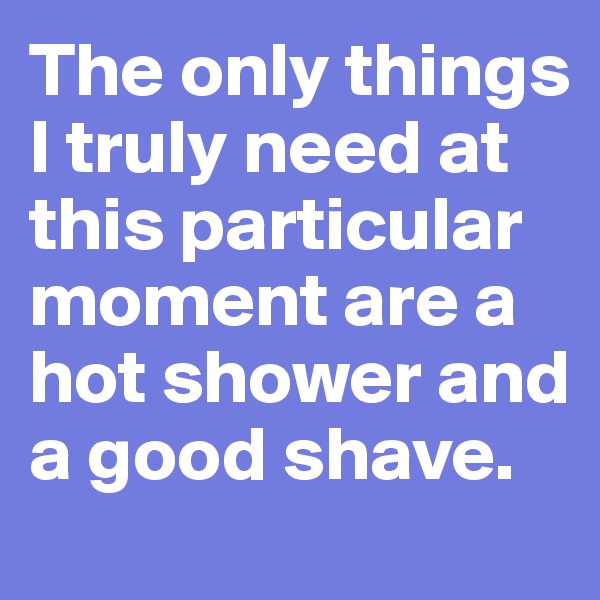 The only things I truly need at this particular moment are a hot shower and a good shave.
