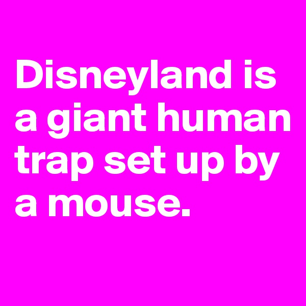 
Disneyland is a giant human trap set up by a mouse.
