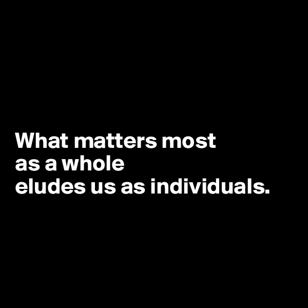 




What matters most 
as a whole 
eludes us as individuals.



