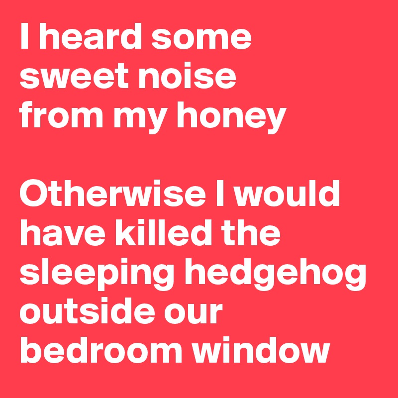 I heard some 
sweet noise 
from my honey

Otherwise I would have killed the 
sleeping hedgehog 
outside our 
bedroom window