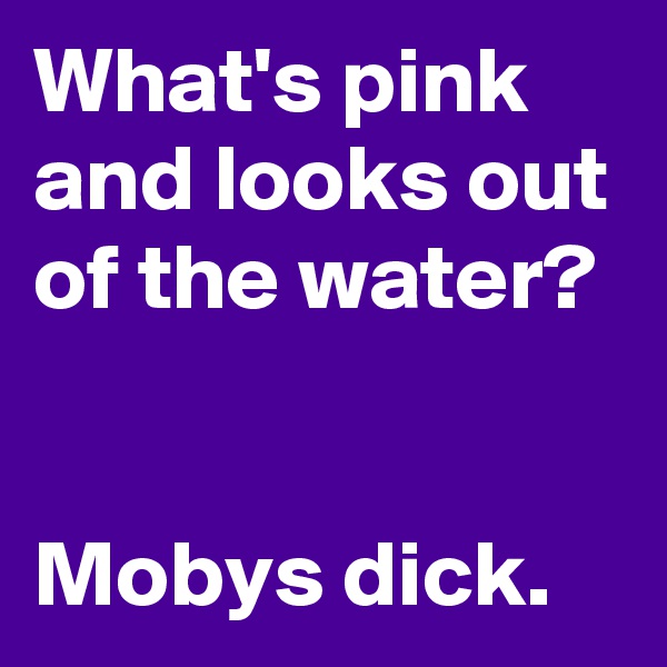 What's pink and looks out of the water?


Mobys dick.