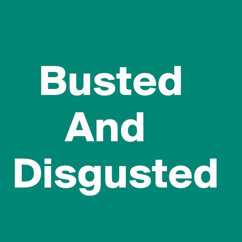 
   Busted           And Disgusted