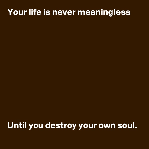 Your life is never meaningless











Until you destroy your own soul.