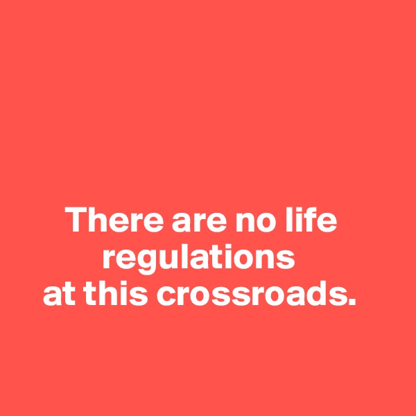 




      There are no life    
           regulations 
   at this crossroads.

