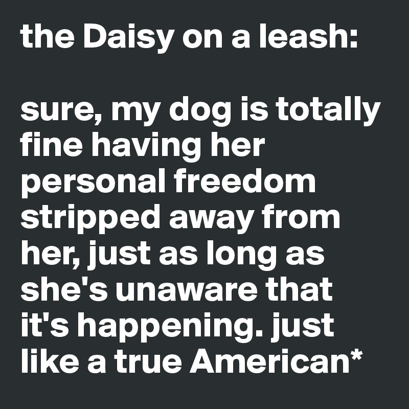 the Daisy on a leash:

sure, my dog is totally fine having her personal freedom stripped away from her, just as long as she's unaware that it's happening. just like a true American*