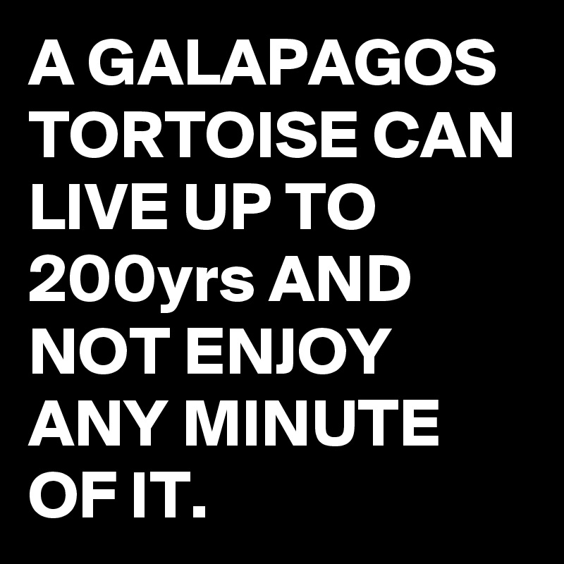 A GALAPAGOS TORTOISE CAN LIVE UP TO 200yrs AND NOT ENJOY ANY MINUTE OF IT.
