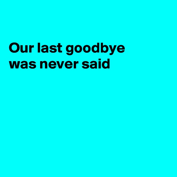 

Our last goodbye 
was never said






