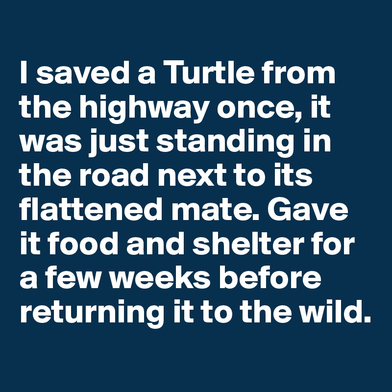 
I saved a Turtle from the highway once, it was just standing in the road next to its flattened mate. Gave it food and shelter for a few weeks before returning it to the wild.
