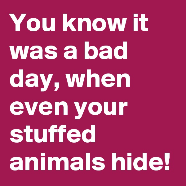 You know it was a bad day, when even your stuffed animals hide!