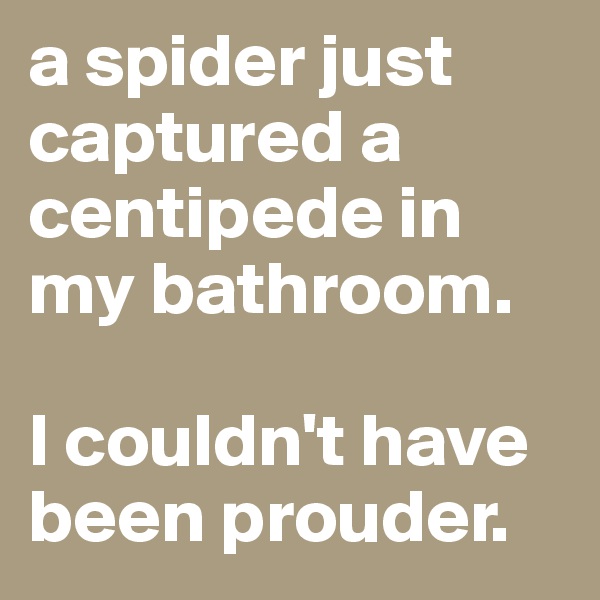 a spider just captured a centipede in my bathroom. 

I couldn't have been prouder. 