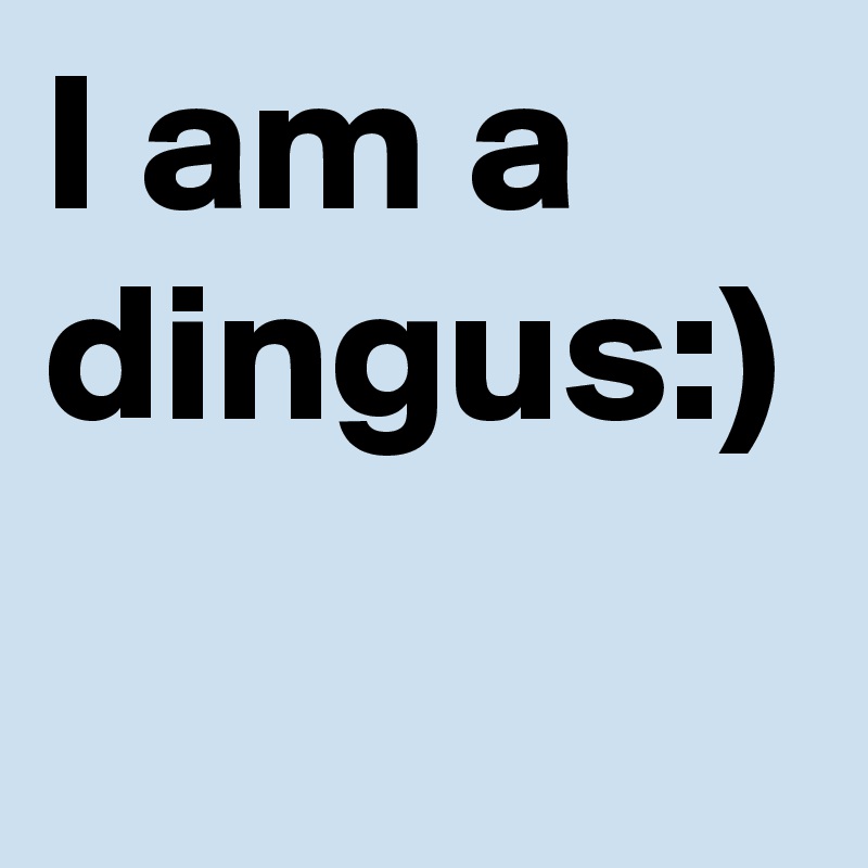 I am a dingus:)