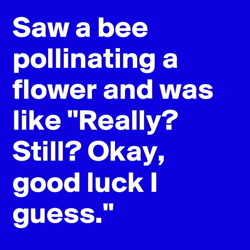Saw a bee pollinating a flower and was like "Really? Still? Okay, good luck I guess."