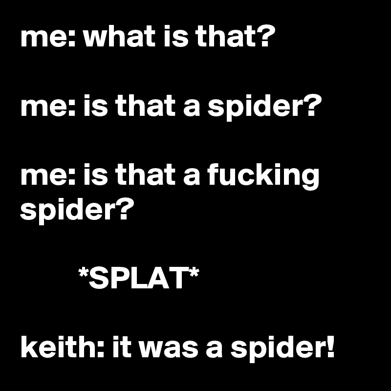 me: what is that?

me: is that a spider?

me: is that a fucking spider?

         *SPLAT*

keith: it was a spider!