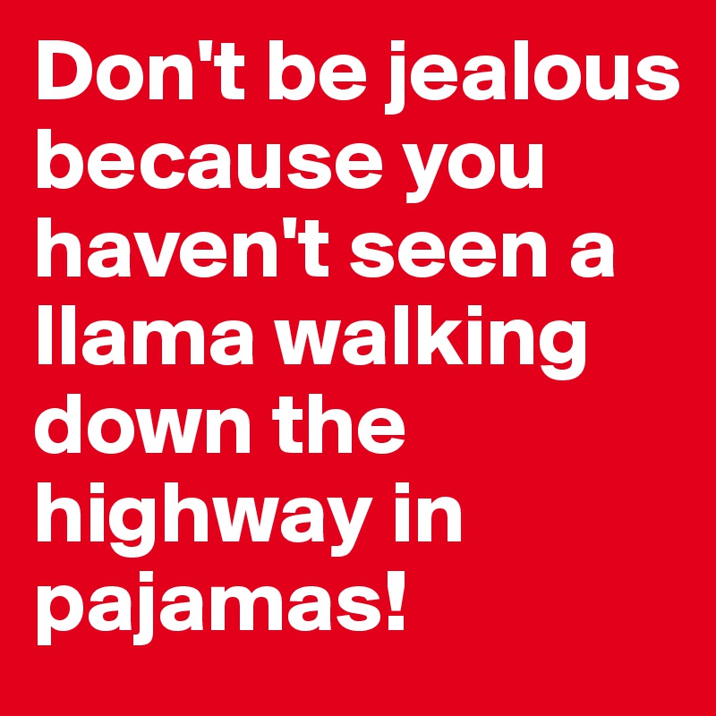 Don't be jealous because you haven't seen a llama walking down the highway in pajamas!
