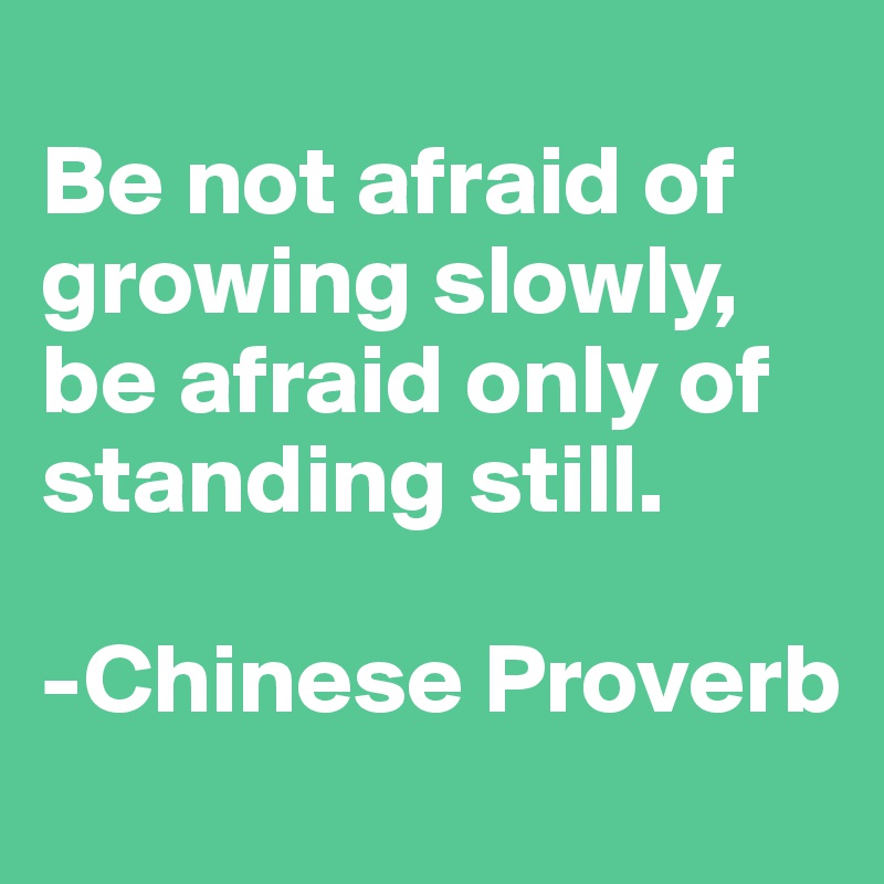 
Be not afraid of growing slowly, be afraid only of standing still.

-Chinese Proverb