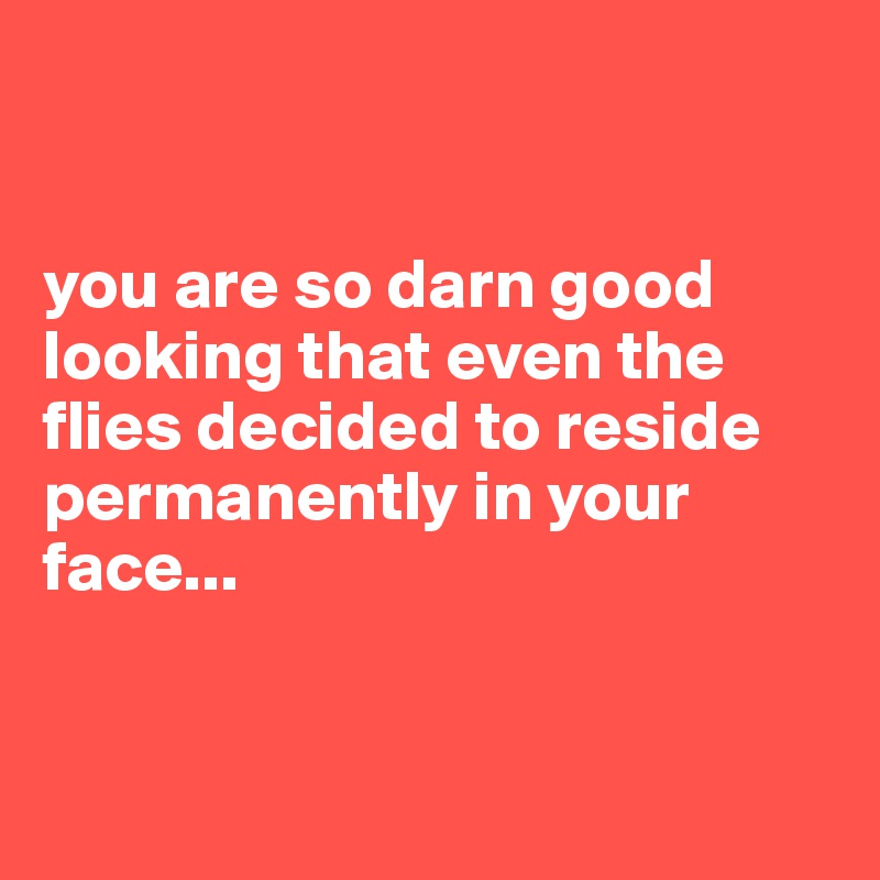 


you are so darn good looking that even the flies decided to reside permanently in your face...


