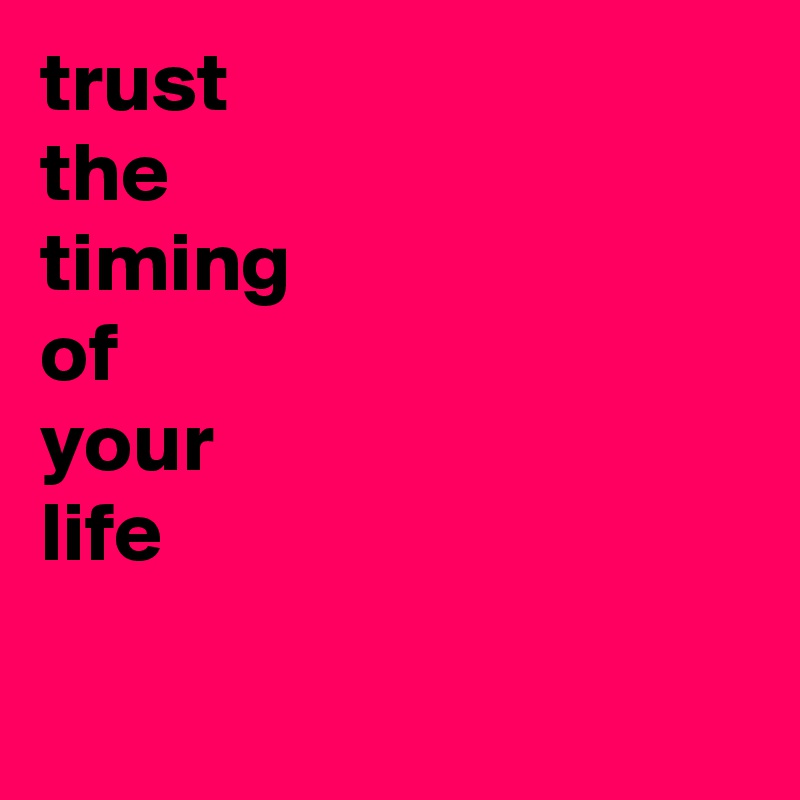 trust 
the 
timing 
of 
your 
life


